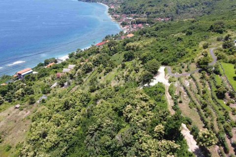 Land in Nusa Penida, Klungkung, Indonesia No. 4299 6