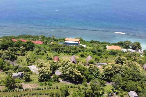 Land in Nusa Penida, Klungkung, Indonesia No. 4299 7