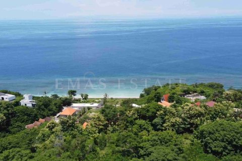 Land in Nusa Penida, Klungkung, Indonesia No. 4299 5