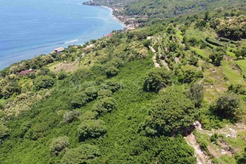 Land in Nusa Penida, Klungkung, Indonesia No. 4299 8