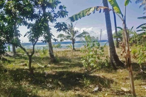 Land in Nusa Penida, Klungkung, Indonesia No. 4301 3