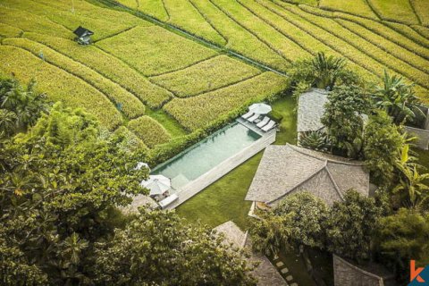 9 bedrooms Villa in Badung, Indonesia No. 11337