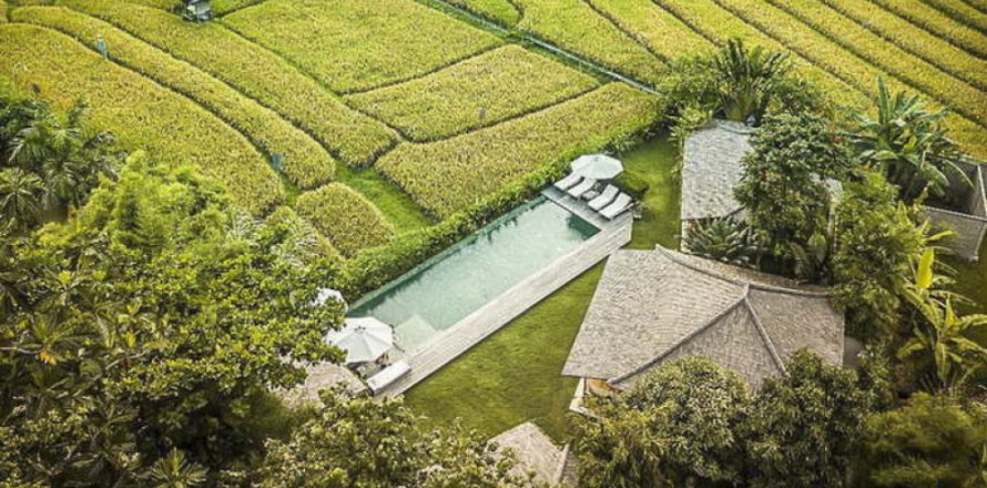 9 bedrooms Villa in Badung, Indonesia No. 11337
