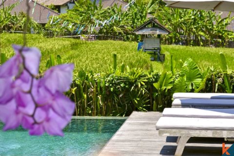 9 bedrooms Villa in Badung, Indonesia No. 11337 21