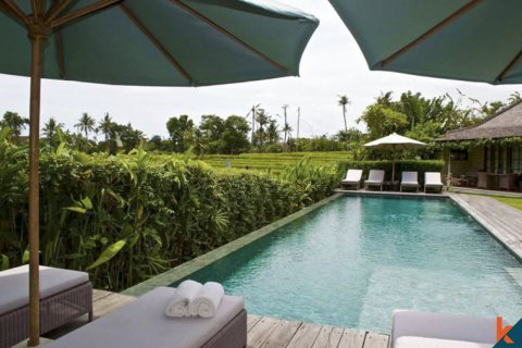 9 bedrooms Villa in Badung, Indonesia No. 11337 13