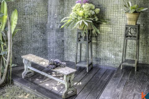9 bedrooms Villa in Badung, Indonesia No. 11337 18