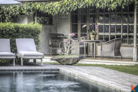 9 bedrooms Villa in Badung, Indonesia No. 11337 22