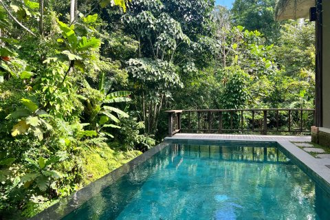 Studio Villa in Ubud, Gianyar, Indonesia No. 13717