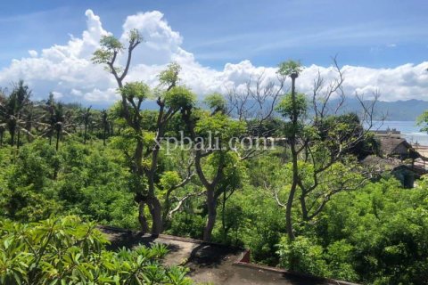 27 bedrooms Villa in Gili Trawangan, Gili Indah, North Lombok, Indonesia No. 7833 22