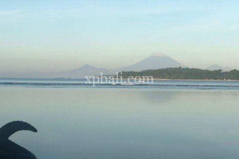 31 bedroom Villa in Indonesia No. 7834 9