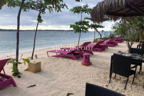 31 bedroom Villa in Indonesia No. 7834 25