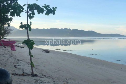 31 bedroom Villa in Indonesia No. 7834 11