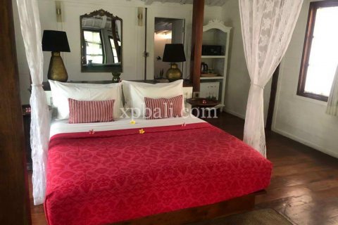 31 bedroom Villa in Indonesia No. 7834 4