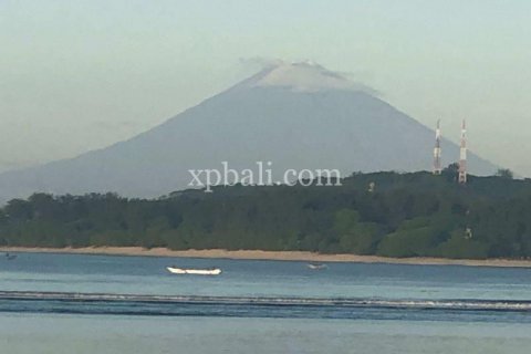 31 bedroom Villa in Indonesia No. 7834 17