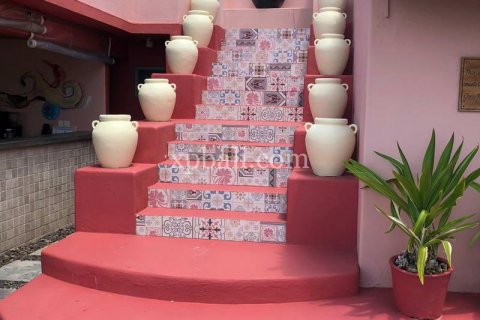 31 bedroom Villa in Indonesia No. 7834 13