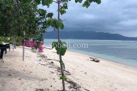 31 bedroom Villa in Indonesia No. 7834 10