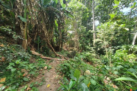 Land in Tabanan, Indonesia No. 11027 7
