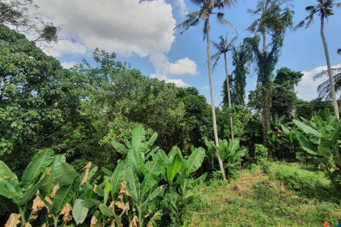 Land in Tabanan, Indonesia No. 11027 4