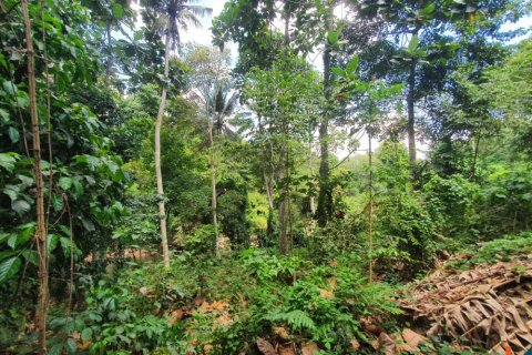 Land in Tabanan, Indonesia No. 11027 8