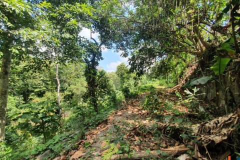 Land in Tabanan, Indonesia No. 11027 6