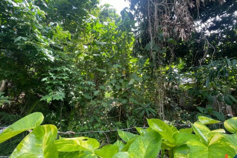 Земельный участок в Seminyak, Бадунг, Индонезия № 11319
