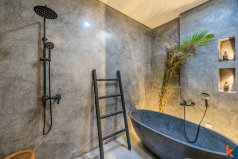2 bedrooms Villa in Badung, Indonesia No. 11322 10