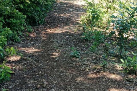 1430m2 Land in South Kuta, Badung, Indonesia No. 9311 1