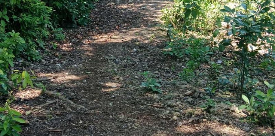 1430m2 Land in South Kuta, Badung, Indonesia No. 9311