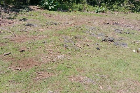 1430m2 Land in South Kuta, Badung, Indonesia No. 9311 12