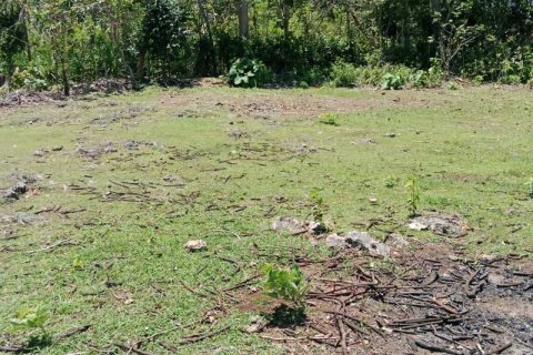 1430m2 Land in South Kuta, Badung, Indonesia No. 9311 3