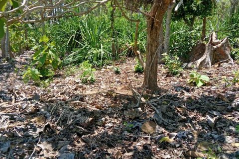 1430m2 Land in South Kuta, Badung, Indonesia No. 9311 11