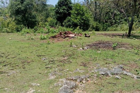 1430m2 Land in South Kuta, Badung, Indonesia No. 9311 9