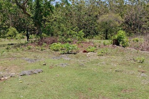 1430m2 Land in South Kuta, Badung, Indonesia No. 9311 6