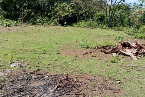 1430m2 Land in South Kuta, Badung, Indonesia No. 9311 5