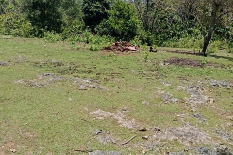 1430m2 Land in South Kuta, Badung, Indonesia No. 9311 8