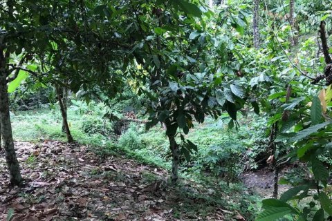 7260m2 Land in Tabanan, Indonesia No. 173 8