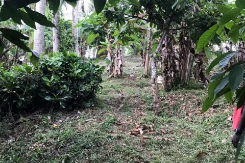 7260m2 Land in Tabanan, Indonesia No. 173 5