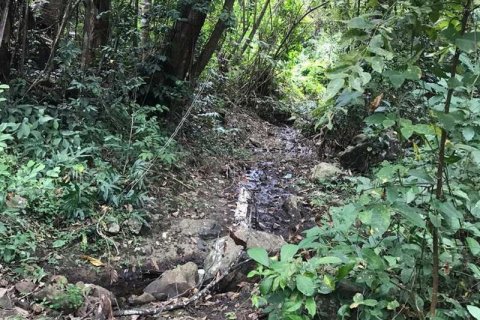 7260m2 Land in Tabanan, Indonesia No. 173 9