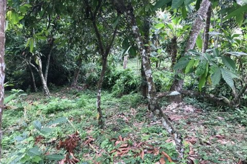 7260m2 Land in Tabanan, Indonesia No. 173 4