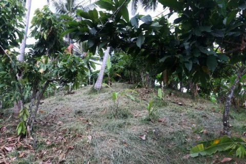 7260m2 Land in Tabanan, Indonesia No. 173 10