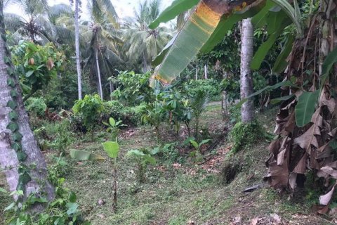 7260m2 Land in Tabanan, Indonesia No. 173 13