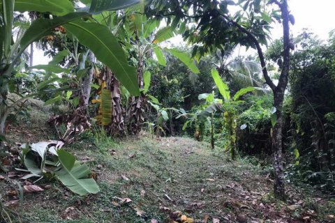 7260m2 Land in Tabanan, Indonesia No. 173 14