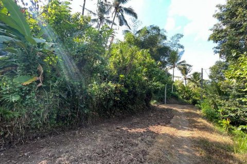 7260m2 Land in Tabanan, Indonesia No. 173 2