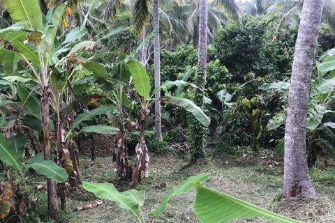 7260m2 Land in Tabanan, Indonesia No. 173 3