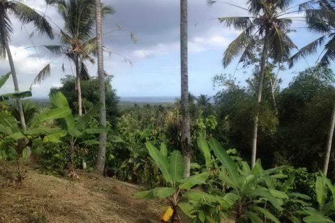 7260m2 Land in Tabanan, Indonesia No. 173 17