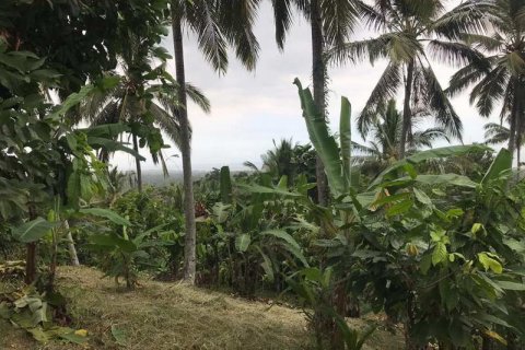 7260m2 Land in Tabanan, Indonesia No. 173 15