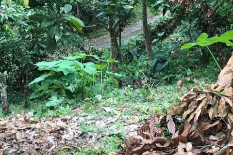 7260m2 Land in Tabanan, Indonesia No. 173 16
