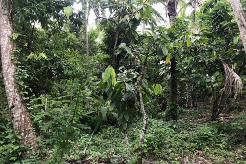 7260m2 Land in Tabanan, Indonesia No. 173 6