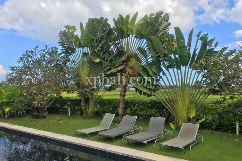 4 bedrooms Villa in Tabanan, Indonesia No. 174 12