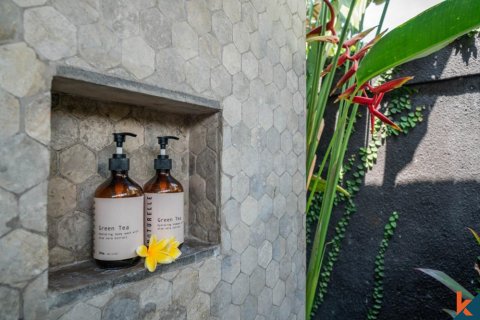 3 bedrooms Villa in Canggu, Badung, Indonesia No. 11274 13